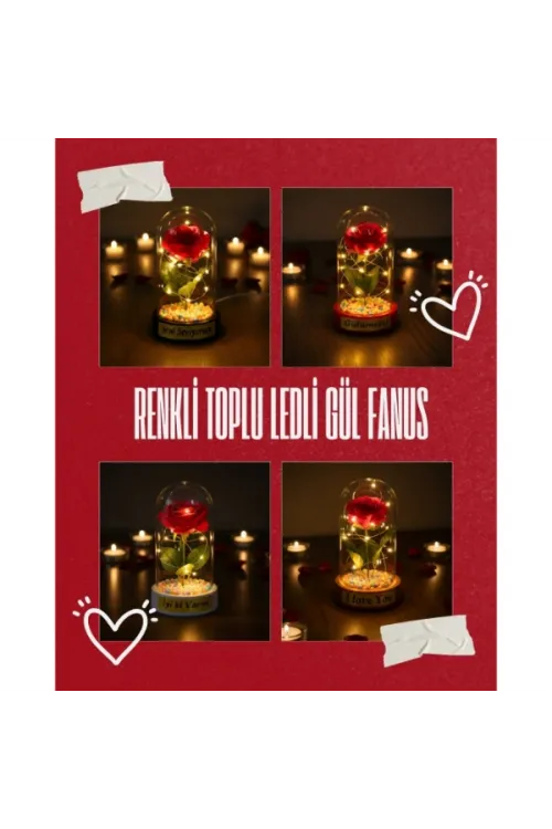 Renkli Toplu Ledli Gül Fanus