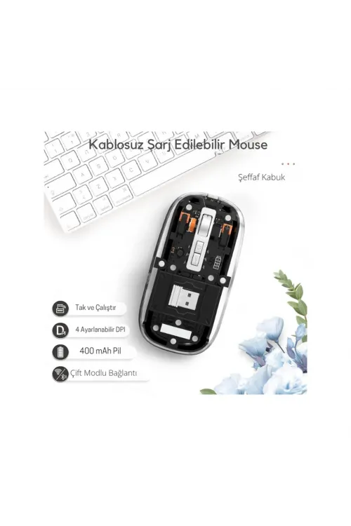 Siyah 501 Bt+ Wireless Mouse ZR1133