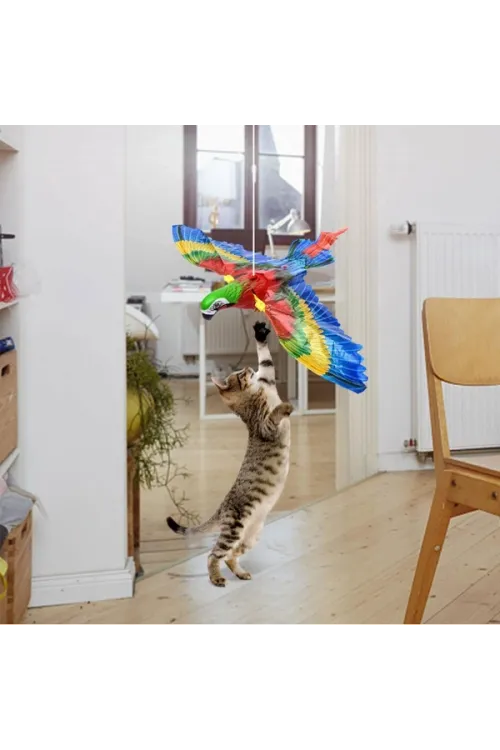 Uçan Papağan Kedi Oyuncağı