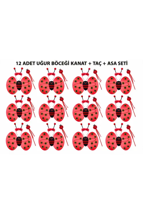Uğur Böceği Kostüm Seti - Kanat Taç Asa 3 Parça 12 Adet