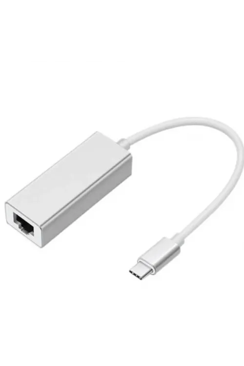 ZR117 Type-C Ethernet Metal Çevirici