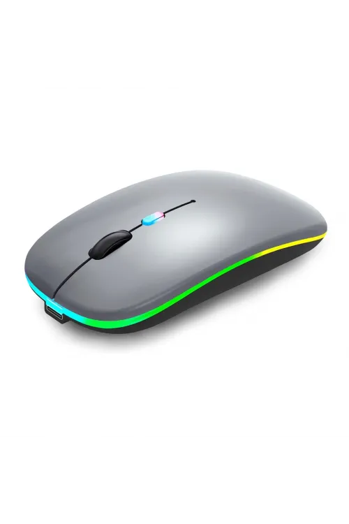 ZR215 Cba100 Rgb Füme Şarjlı Mouse