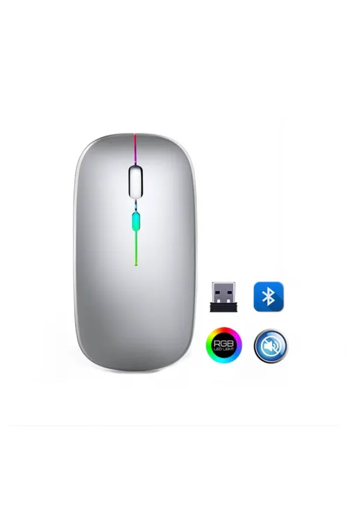 ZR215 Cba100 Rgb Gümüş Şarjlı Mouse