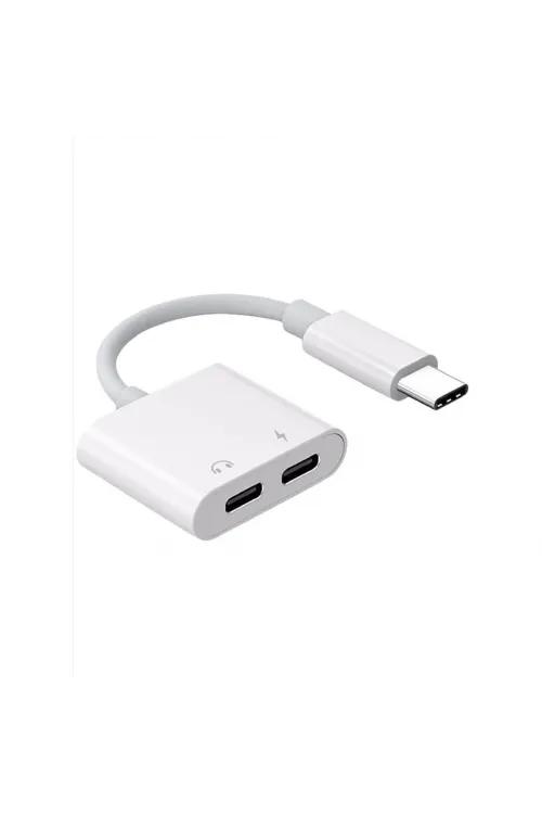 ZR293 Ftac42 Type-C 2 İn 1 Converter Adaptör