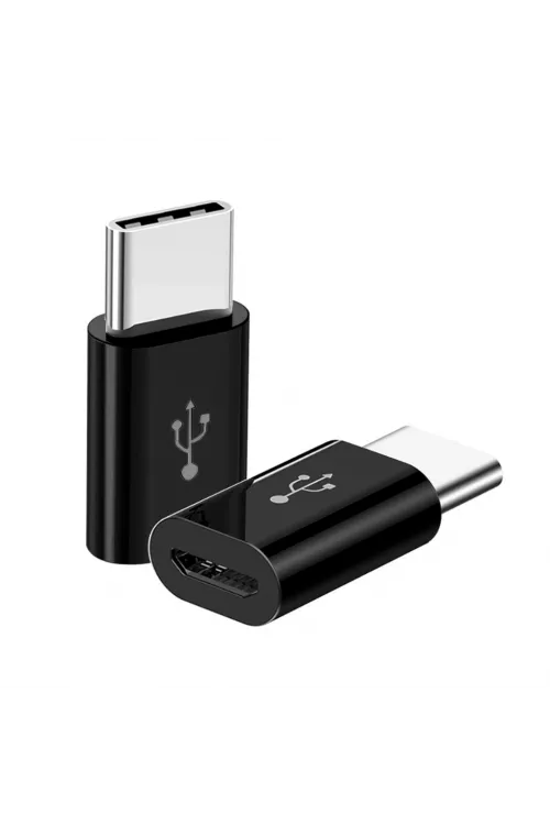 ZR393 Micro Type-C Çevirici