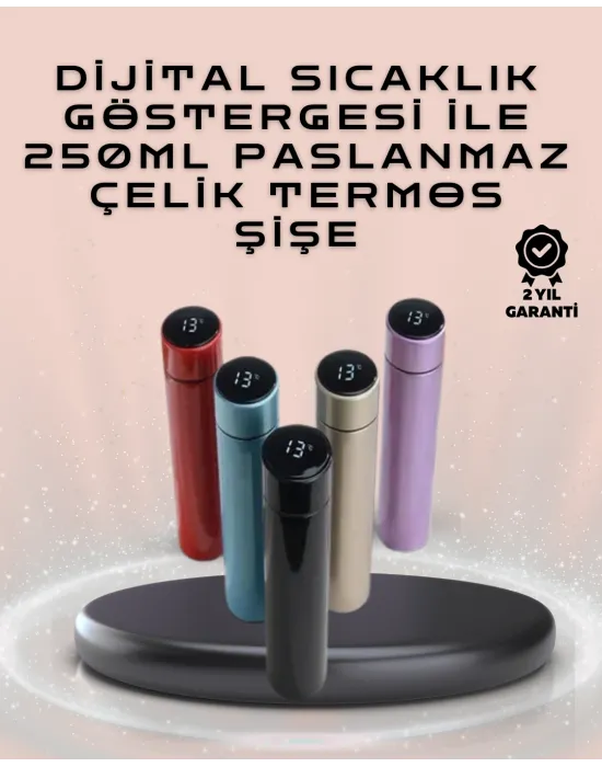 250ml Led Ekranlı Paslanmaz Çelik Akıllı Termos