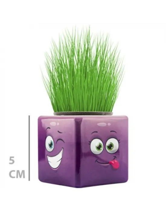 Çim Adam Mini Küp Emoji Figürlü 1 Adet