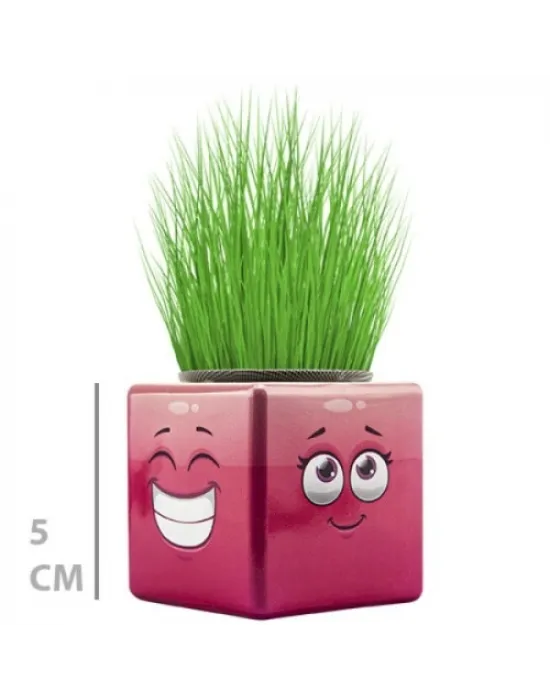 Çim Adam Mini Küp Emoji Figürlü 1 Adet