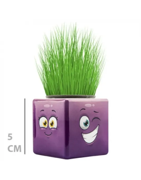 Çim Adam Mini Küp Emoji Figürlü 1 Adet