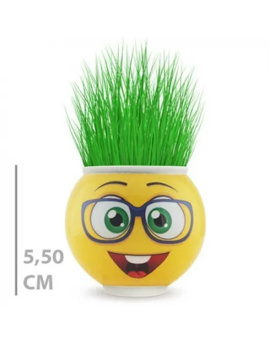 Çim Adam Saksı Emoji Figürlü 1 Adet