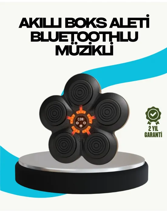 Ev Tipi Akıllı Boks Duvar Paneli Müzikli Bluetoothlu Refleks Geliştirme Cihazı