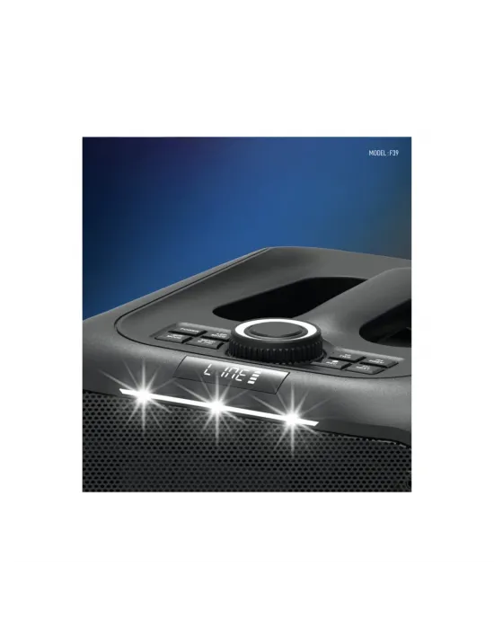 F39 25w Sürücülü Rgb Işıklı 2 Adet Mikrofonlu Bluetooth 5.3 Kablosuz Hoparlör – Siyah