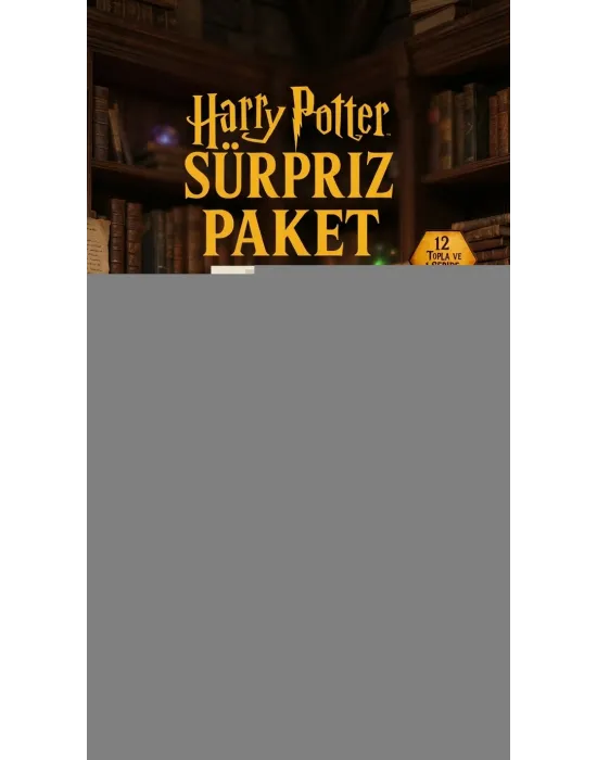 Harry Potter Sürpriz Figür Koleksiyonu Kutu Oyuncak