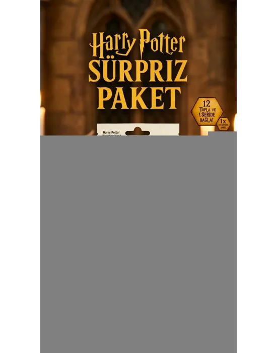 Harry Potter Sürpriz Figür Oyuncak Koleksiyon Kutusu