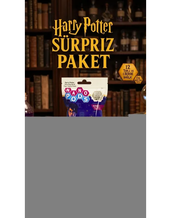 Harry Potter Temalı Koleksiyonluk Sürpriz Figür Seti 2li Paket