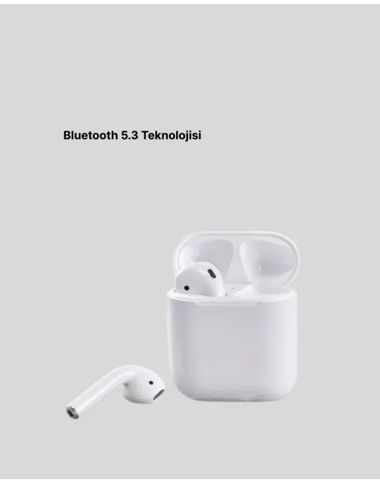Hızlı Şarj Destekli 2. Nesil Bluetooth 5.0 Ergonomik Kulaklık