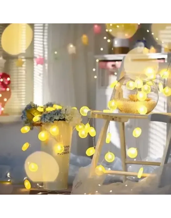 2m 10 Led Pilli Limon Işık