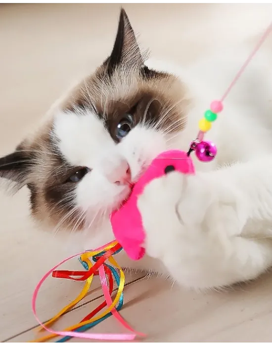 Balıklı Kedi Oyun Oltası