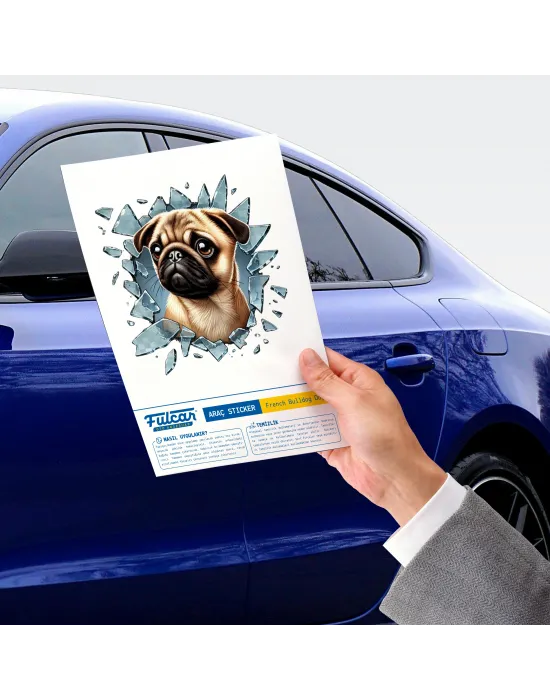 Fulcar French Bulldog Araç Stickerı