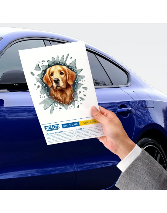 Fulcar Golden Araç Stickerı