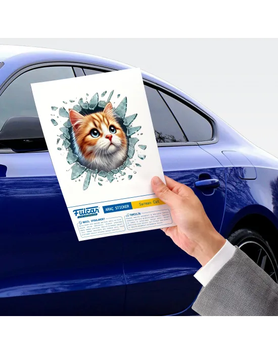 Fulcar Sarman Araç Stickerı