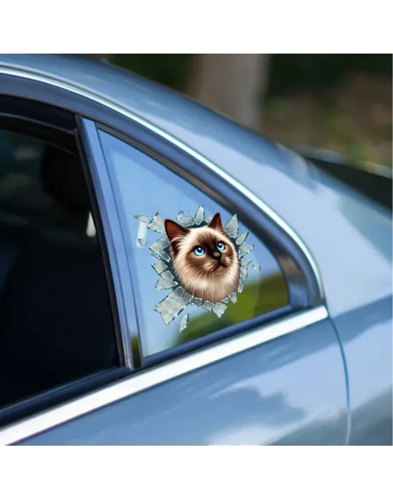 Fulcar Siamesse Araç Stickerı