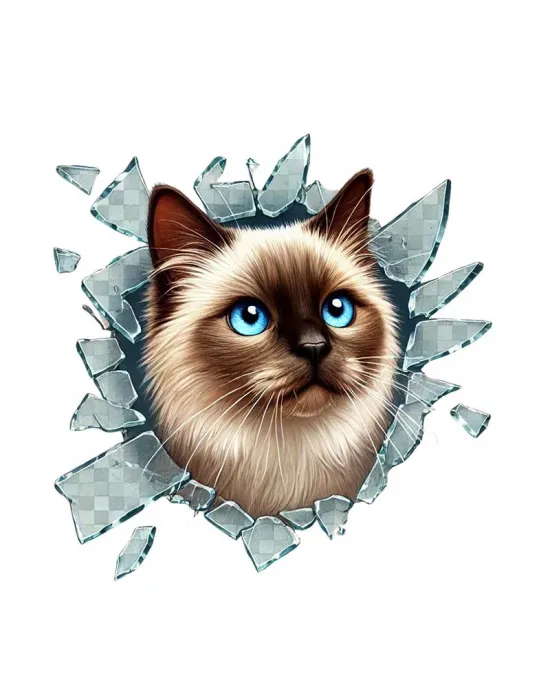 Fulcar Siamesse Araç Stickerı
