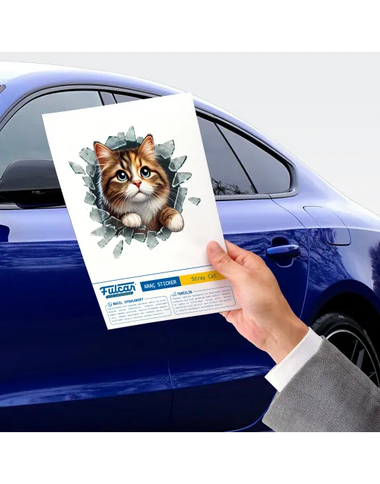 Fulcar Stray Araç Stickerı