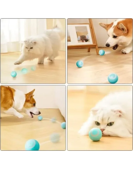 İnteraktif Kedi Köpek Şarjlı Oyun Topu