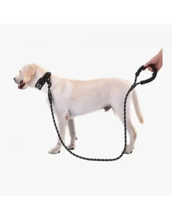 Köpekler İçin Reflektörlü Halat Gezdirme Tasması