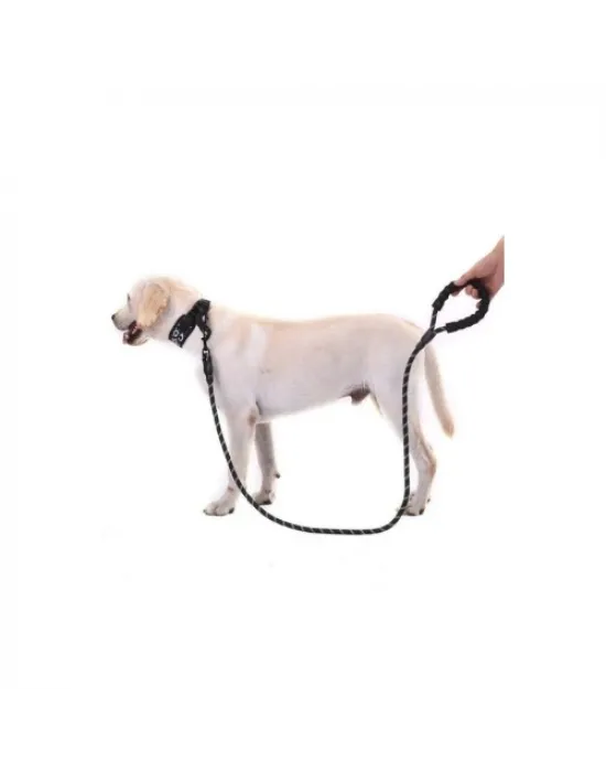 Reflektörlü Köpek Tasması 130 Cm.