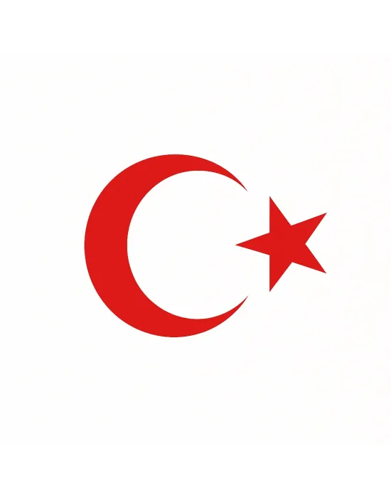 Türk Bayrağı Oto Sticker Kırmızı 23x17 cm
