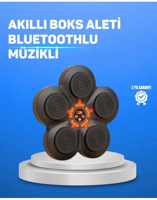 Müzikli Boks Duvar Paneli Akıllı Işık Sistemli Refleks Ve Kondisyon Aleti
