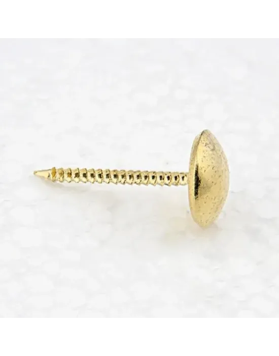 Sarı Saraciye, Deri Tırtıklı Kabara 9,5 Mm - 100