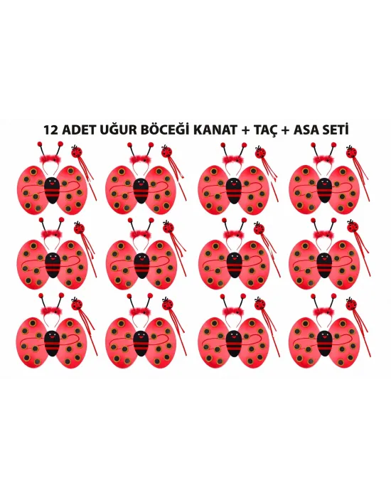 Uğur Böceği Kostüm Seti - Kanat Taç Asa 3 Parça 12 Adet