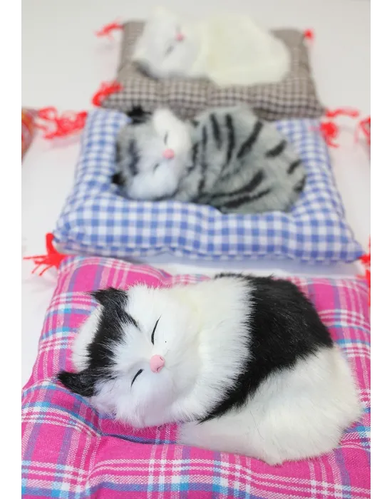 Yastıkta Uyuyan Kedi Sesli Alk25
