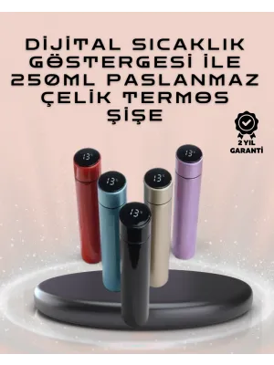 250ml Led Ekranlı Paslanmaz Çelik Akıllı Termos