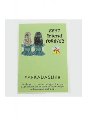 3lü Arkadaşlık Bileklik Kartı