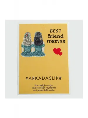 3lü Arkadaşlık Bileklik Kartı
