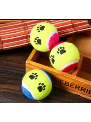 At Getir Köpek Eğitim Topu