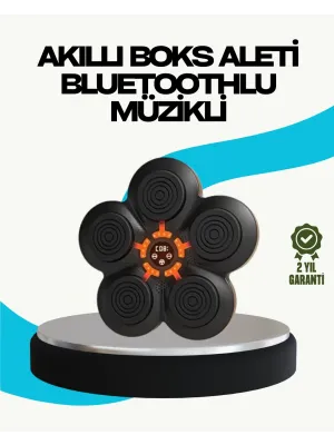 Ev Tipi Akıllı Boks Duvar Paneli Müzikli Bluetoothlu Refleks Geliştirme Cihazı