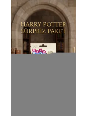 Harry Potter Koleksiyon Sürpriz Figür Oyuncak Seti