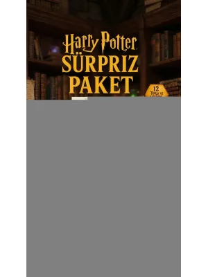 Harry Potter Sürpriz Figür Koleksiyonu Kutu Oyuncak