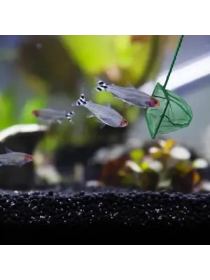 Akvaryum Balık Kepçesi – 12 cm
