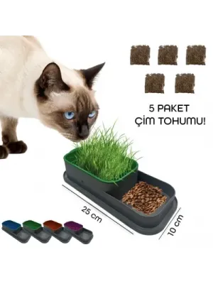 Topraksız Kedi Çimi Kabı