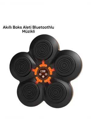 Müzik Box Makinesi
