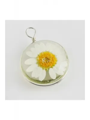 Papatya Canlı Kolye Ucu 2,5 cm