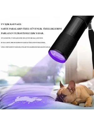 Sahte Para Işığı Ultraviole  Wt-302