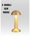 %100 Kademeli Ayarlanabilir Işık – USB Şarjlı Masa Lambası