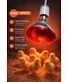100W Isıtıcı Ampul Kırmızı Isı Lambası Civciv Kümes Kuluçka E27 Duy Isıtma Ampulü